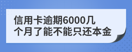 信用卡逾期6000几个月了能不能只还本金