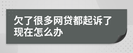 欠了很多网贷都起诉了现在怎么办