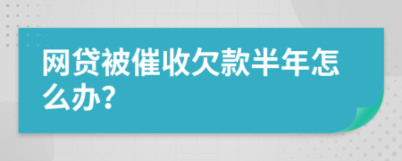 网贷被催收欠款半年怎么办？