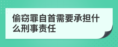 偷窃罪自首需要承担什么刑事责任