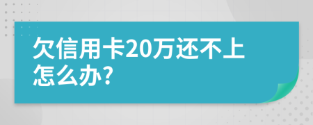 欠信用卡20万还不上怎么办?