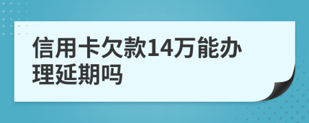 信用卡欠款14万能办理延期吗