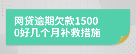 网贷逾期欠款15000好几个月补救措施