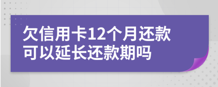 欠信用卡12个月还款可以延长还款期吗