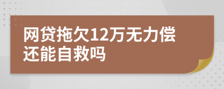 网贷拖欠12万无力偿还能自救吗