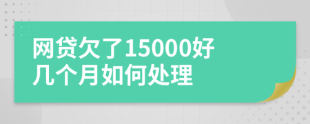 网贷欠了15000好几个月如何处理