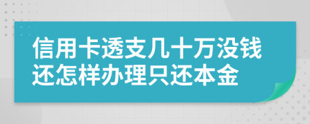 信用卡透支几十万没钱还怎样办理只还本金