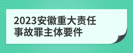 2023安徽重大责任事故罪主体要件