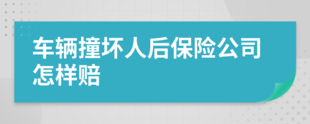 车辆撞坏人后保险公司怎样赔