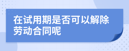 在试用期是否可以解除劳动合同呢