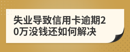 失业导致信用卡逾期20万没钱还如何解决