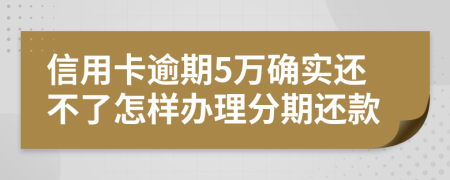 信用卡逾期5万确实还不了怎样办理分期还款