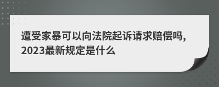 遭受家暴可以向法院起诉请求赔偿吗,2023最新规定是什么