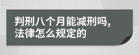 判刑八个月能减刑吗,法律怎么规定的