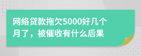 网络贷款拖欠5000好几个月了，被催收有什么后果