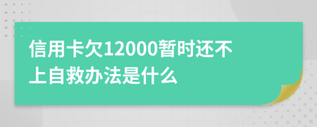 信用卡欠12000暂时还不上自救办法是什么