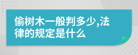 偷树木一般判多少,法律的规定是什么