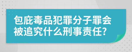 包庇毒品犯罪分子罪会被追究什么刑事责任?
