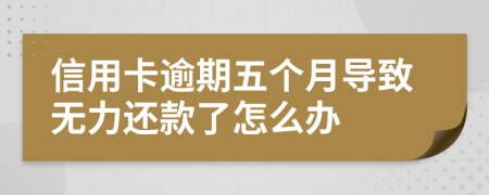 信用卡逾期五个月导致无力还款了怎么办