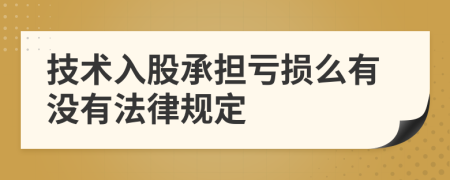 技术入股承担亏损么有没有法律规定