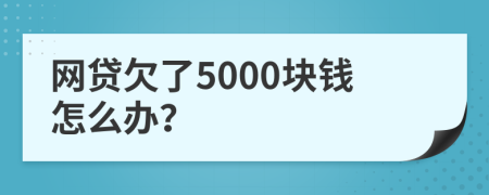 网贷欠了5000块钱怎么办？