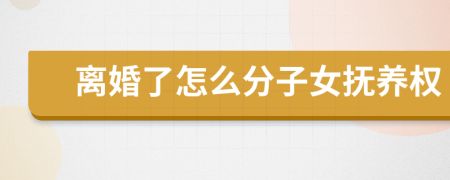 离婚了怎么分子女抚养权