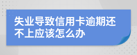 失业导致信用卡逾期还不上应该怎么办