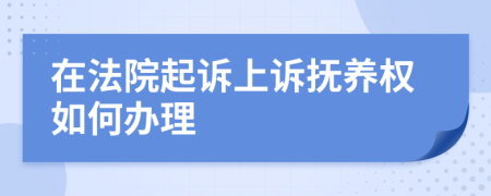 在法院起诉上诉抚养权如何办理