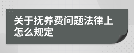 关于抚养费问题法律上怎么规定