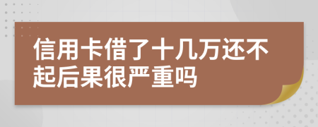 信用卡借了十几万还不起后果很严重吗