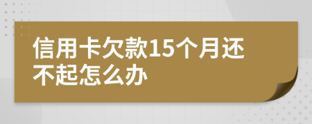 信用卡欠款15个月还不起怎么办