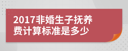 2017非婚生子抚养费计算标准是多少