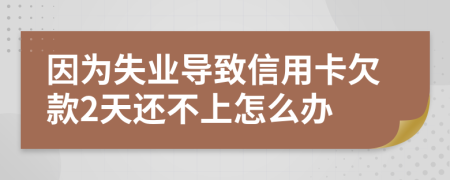 因为失业导致信用卡欠款2天还不上怎么办