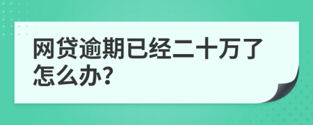 网贷逾期已经二十万了怎么办？