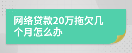 网络贷款20万拖欠几个月怎么办