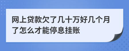 网上贷款欠了几十万好几个月了怎么才能停息挂账