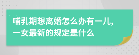 哺乳期想离婚怎么办有一儿,一女最新的规定是什么