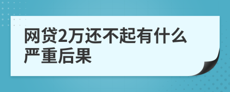 网贷2万还不起有什么严重后果