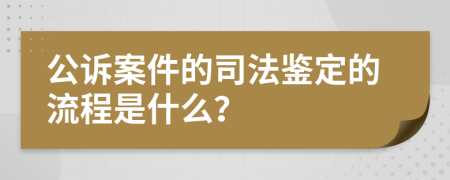 公诉案件的司法鉴定的流程是什么？