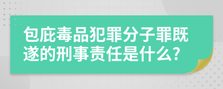 包庇毒品犯罪分子罪既遂的刑事责任是什么?