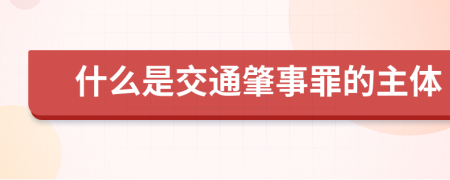 什么是交通肇事罪的主体