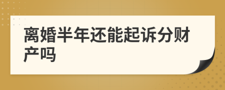 离婚半年还能起诉分财产吗