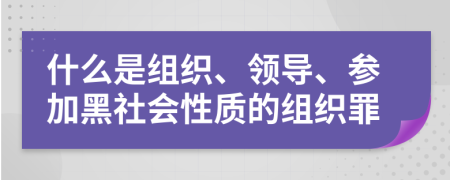 什么是组织、领导、参加黑社会性质的组织罪