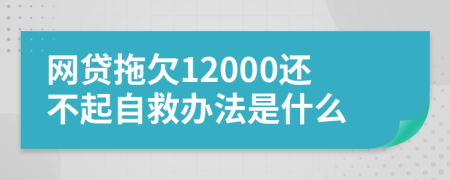 网贷拖欠12000还不起自救办法是什么
