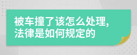 被车撞了该怎么处理,法律是如何规定的