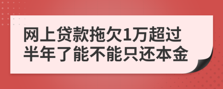 网上贷款拖欠1万超过半年了能不能只还本金