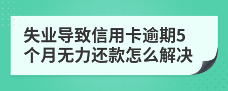 失业导致信用卡逾期5个月无力还款怎么解决