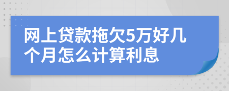 网上贷款拖欠5万好几个月怎么计算利息