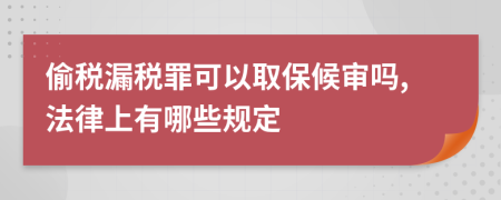 偷税漏税罪可以取保候审吗,法律上有哪些规定