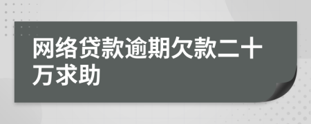 网络贷款逾期欠款二十万求助
